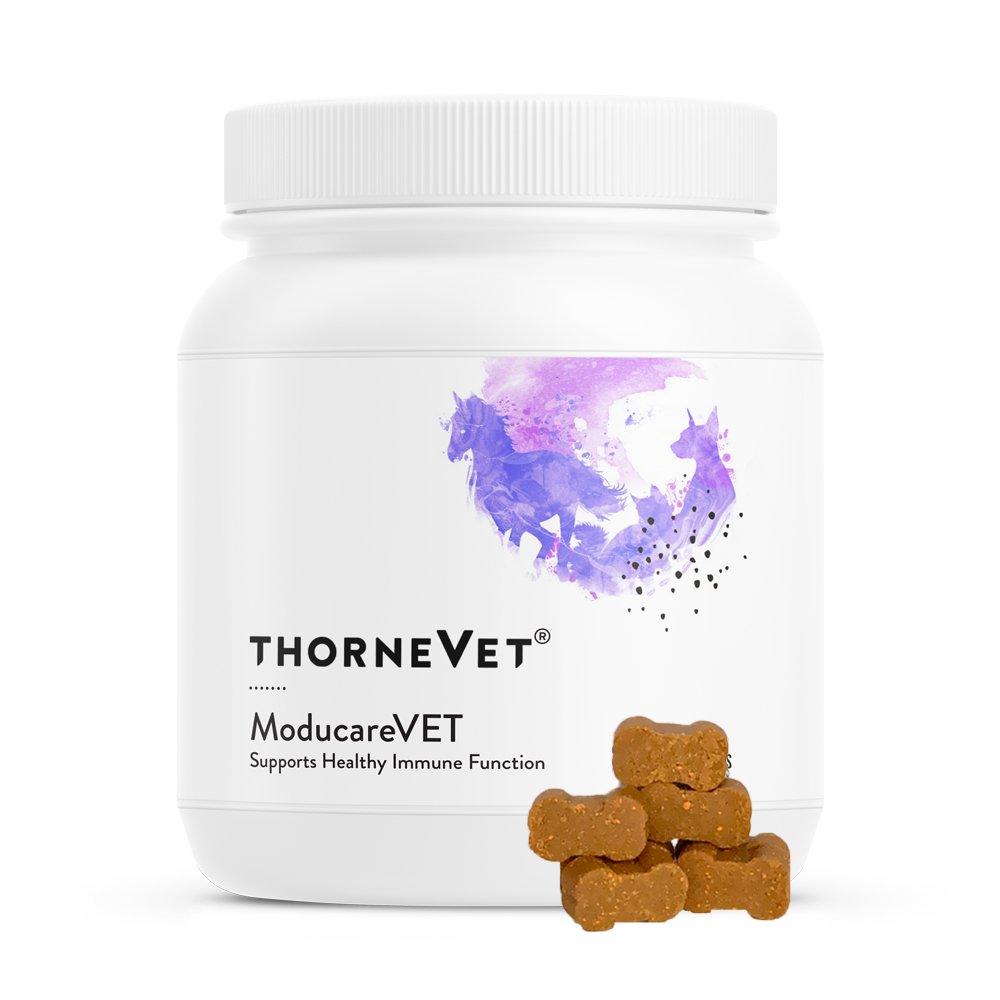 ModucareVET - 이미지 2