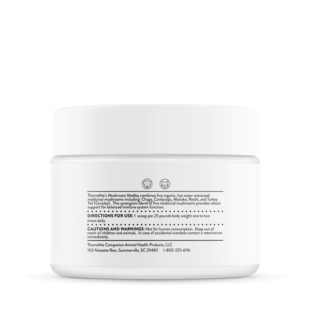 Mushroom Medley - 이미지 2